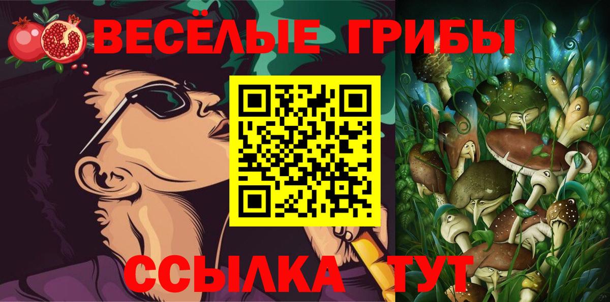 Янаул  Галлюциногенные грибы мухоморы  Вход с VPN 